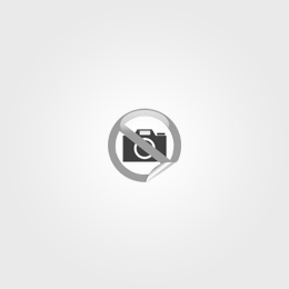 Tutorial - Moodle
